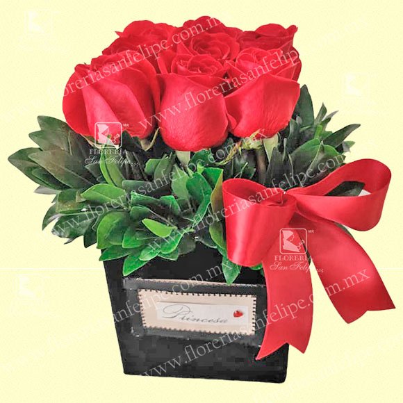 Cajita Rosas Terciopelo