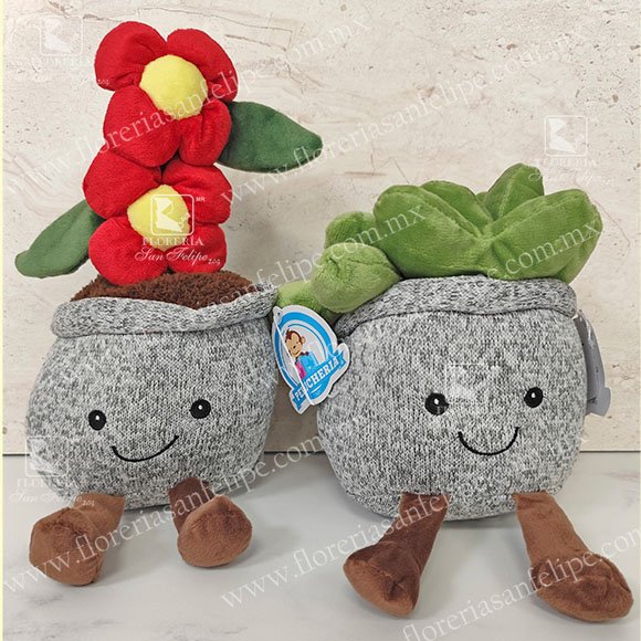 Suculentas De Peluche