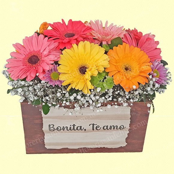 Caja Suspiros De Amor Con Gerberas Y Margaritas