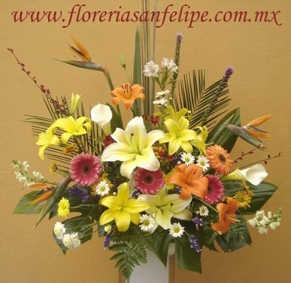 Arreglo Primavera Jumbo